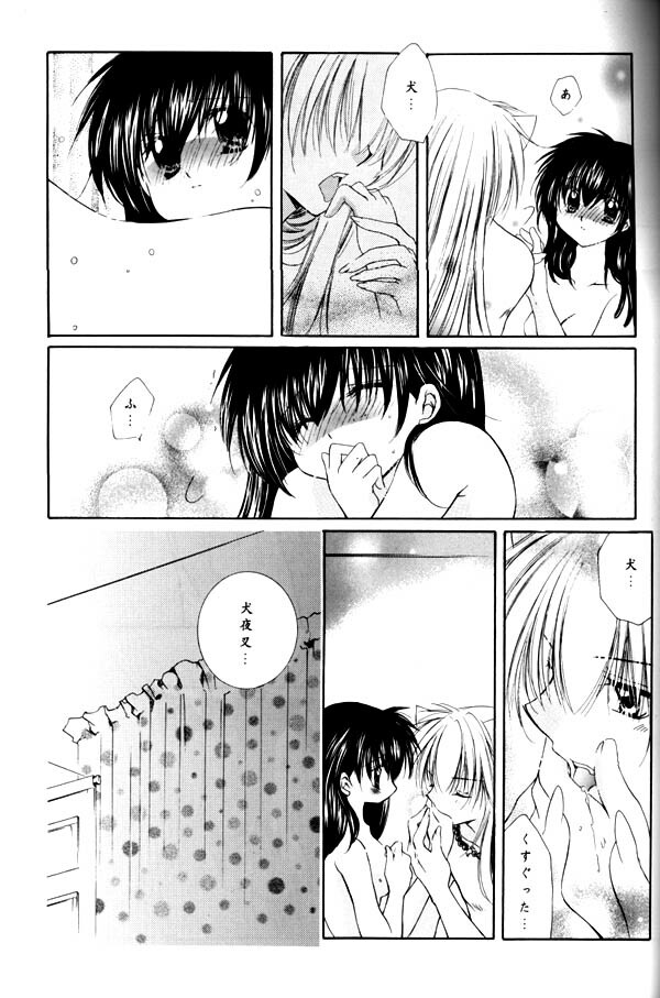 (C65) [Sakurakan (Seriou Sakura)] Yuuyami Ryuuseigun (Inuyasha) page 64 full