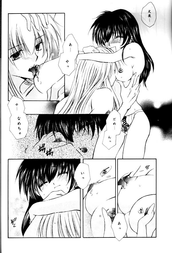 (C65) [Sakurakan (Seriou Sakura)] Yuuyami Ryuuseigun (Inuyasha) page 65 full