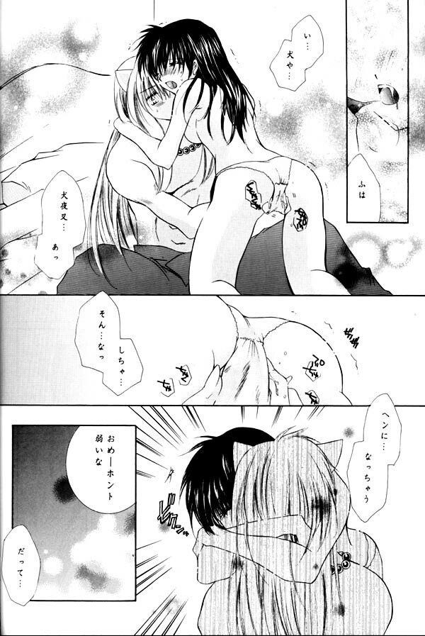 (C65) [Sakurakan (Seriou Sakura)] Yuuyami Ryuuseigun (Inuyasha) page 67 full