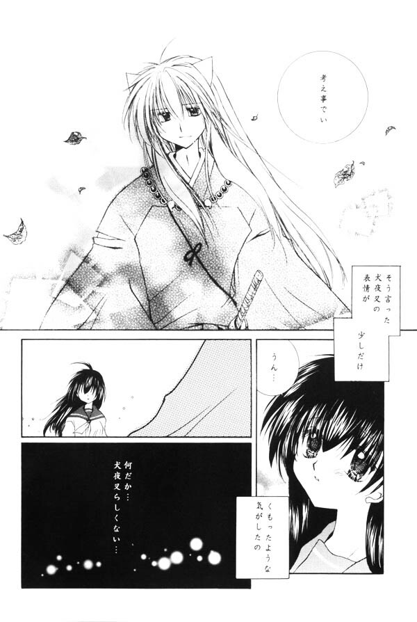 (C65) [Sakurakan (Seriou Sakura)] Yuuyami Ryuuseigun (Inuyasha) page 7 full