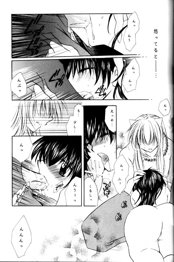 (C65) [Sakurakan (Seriou Sakura)] Yuuyami Ryuuseigun (Inuyasha) page 72 full