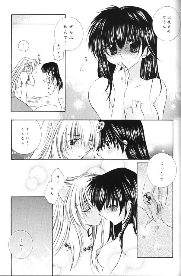 (C65) [Sakurakan (Seriou Sakura)] Yuuyami Ryuuseigun (Inuyasha) page 74 full