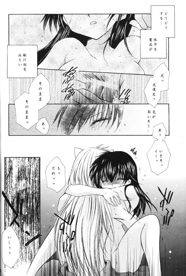 (C65) [Sakurakan (Seriou Sakura)] Yuuyami Ryuuseigun (Inuyasha) page 79 full