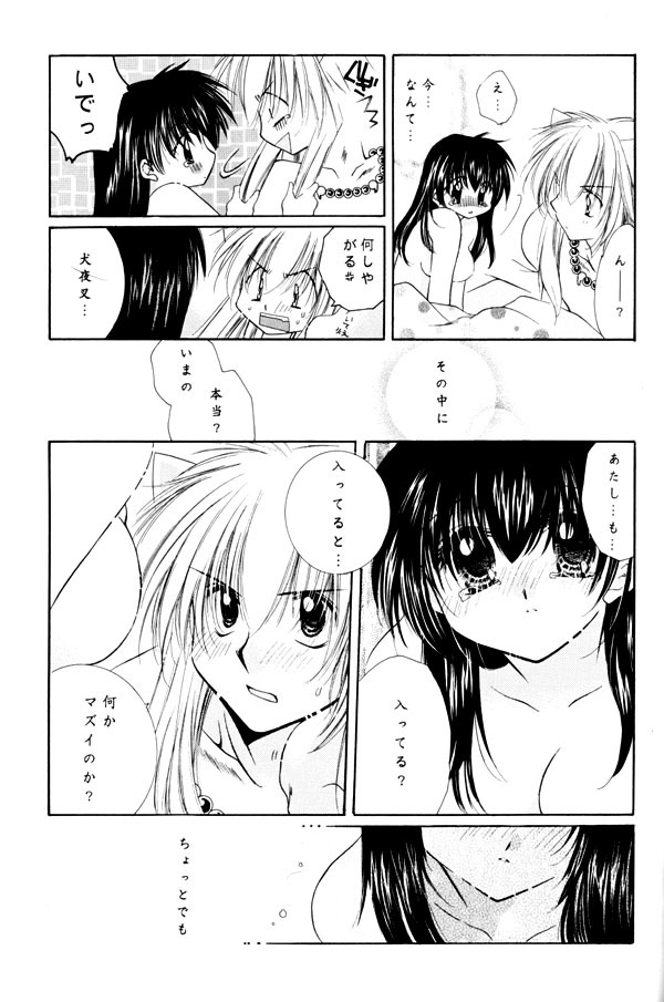 (C65) [Sakurakan (Seriou Sakura)] Yuuyami Ryuuseigun (Inuyasha) page 90 full