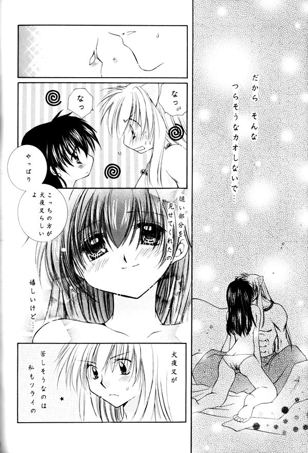 (C65) [Sakurakan (Seriou Sakura)] Yuuyami Ryuuseigun (Inuyasha) page 93 full