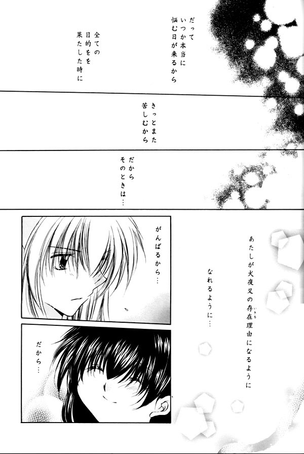 (C65) [Sakurakan (Seriou Sakura)] Yuuyami Ryuuseigun (Inuyasha) page 94 full