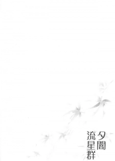 (C65) [Sakurakan (Seriou Sakura)] Yuuyami Ryuuseigun (Inuyasha) - page 11