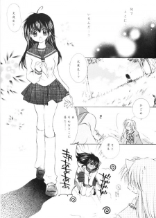 (C65) [Sakurakan (Seriou Sakura)] Yuuyami Ryuuseigun (Inuyasha) - page 5