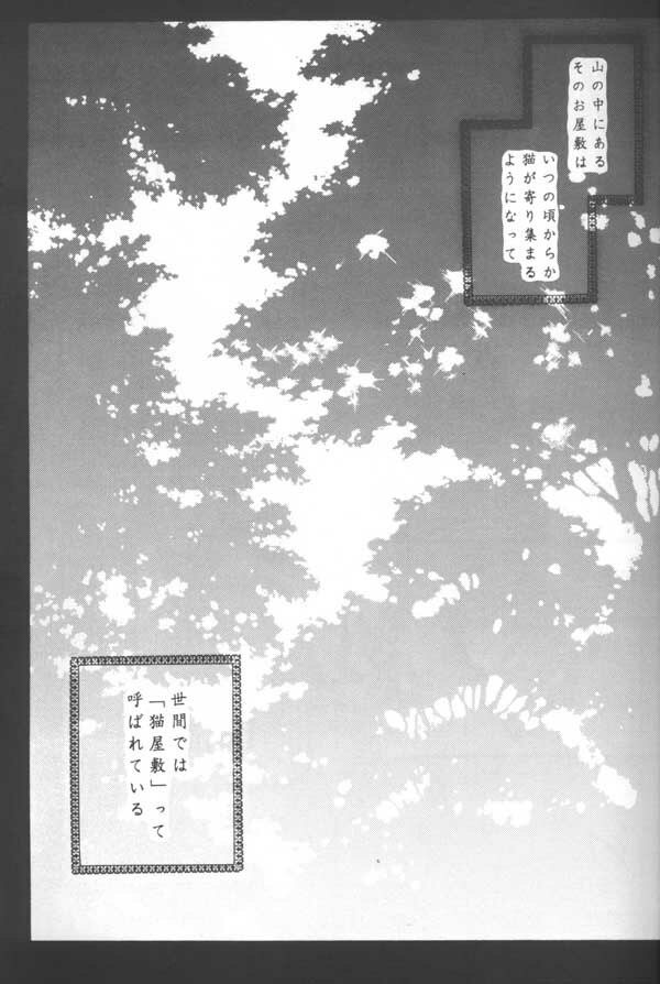 (C64) [Sakurakan (Seriou Sakura)] Tobikiri no Himitsu (Inuyasha) page 5 full