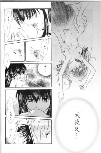 (SC11) [Sakurakan (Seriou Sakura)] Saigo no Sakura no Saku Koro (Inuyasha) page 24 full