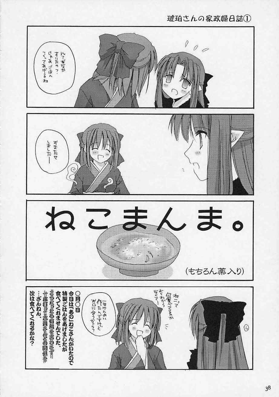 [Digital Lover / Doowatchalike (Nakajima Yuka)] Hakanatsuki (Tsukihime) page 37 full