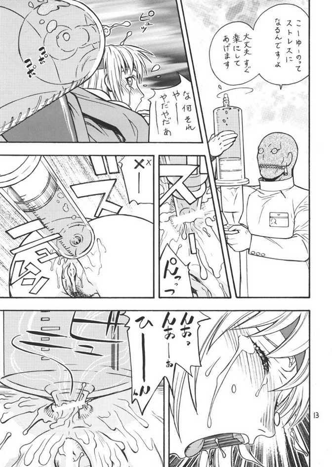 (CR33) [From Japan (Aki Kyouma)] FIGHTERS GIGA COMICS FGC ROUND 4 (Dead or Alive) page 12 full