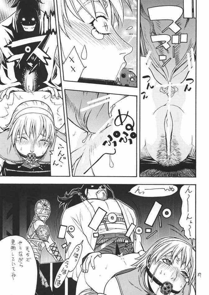 (CR33) [From Japan (Aki Kyouma)] FIGHTERS GIGA COMICS FGC ROUND 4 (Dead or Alive) page 36 full