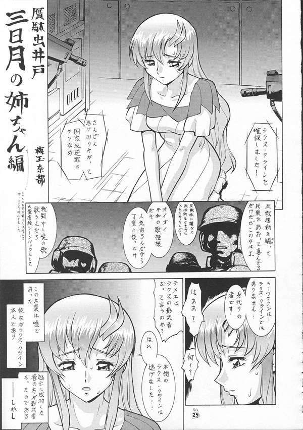 [Tsurikichi-Doumei] SEED Fan no Oneechan ga Mitara Okoru Kara Minaide Choudai Hon 2 (Kidou Senshi Gundam SEED / Mobile Suit Gundam SEED) page 24 full