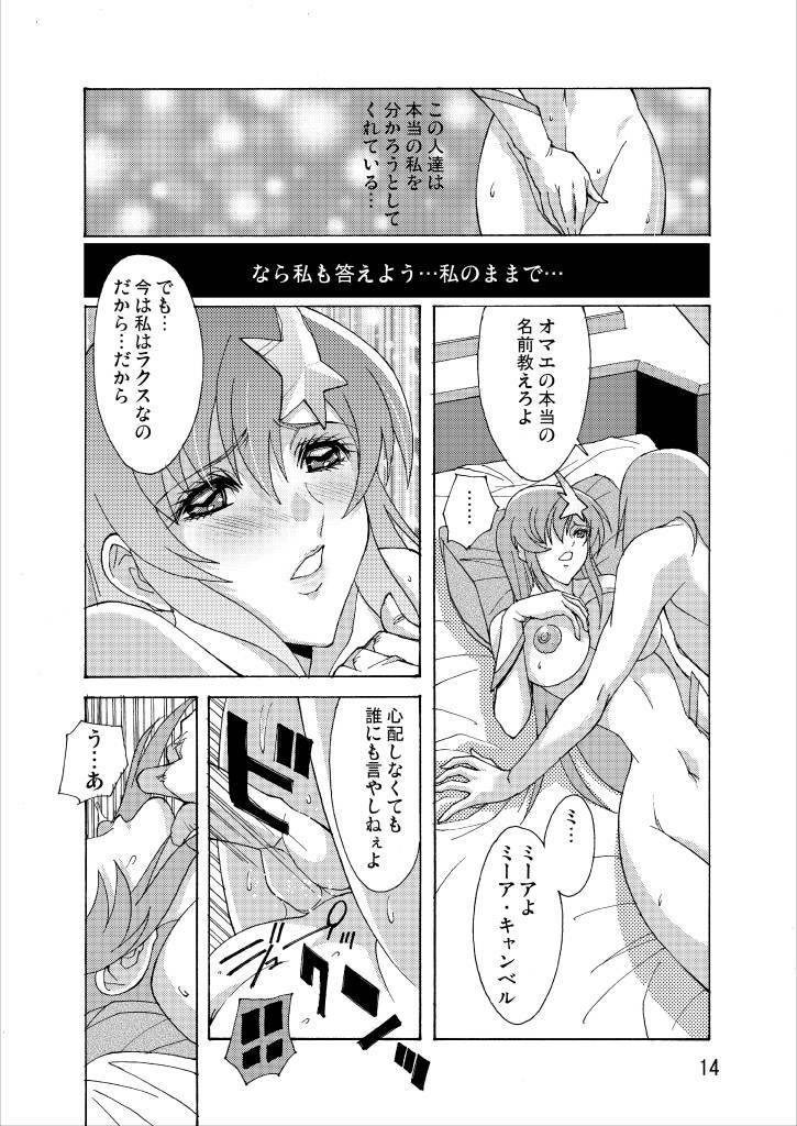 (C70) [Oregun (Shibari Kana)] MEER ALIVE (Kidou Senshi Gundam SEED DESTINY [Mobile Suit Gundam SEED DESTINY]) page 13 full