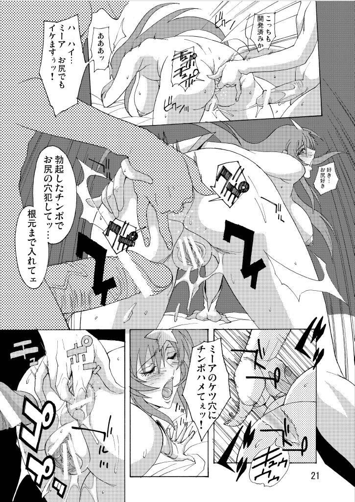 (C70) [Oregun (Shibari Kana)] MEER ALIVE (Kidou Senshi Gundam SEED DESTINY [Mobile Suit Gundam SEED DESTINY]) page 20 full