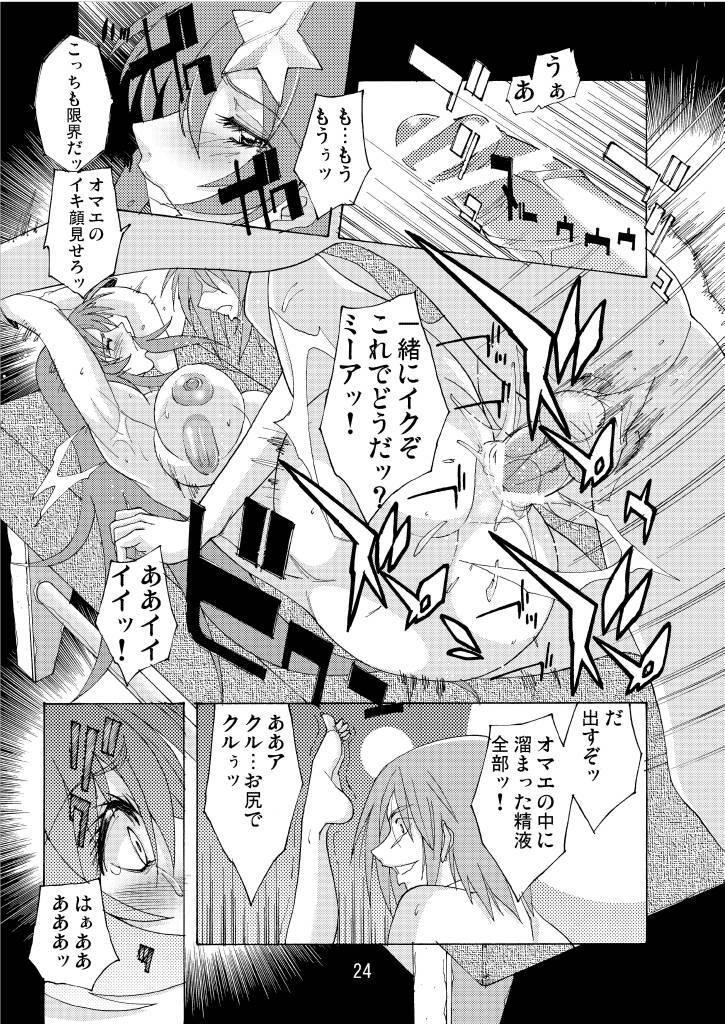 (C70) [Oregun (Shibari Kana)] MEER ALIVE (Kidou Senshi Gundam SEED DESTINY [Mobile Suit Gundam SEED DESTINY]) page 23 full