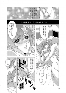 (C70) [Oregun (Shibari Kana)] MEER ALIVE (Kidou Senshi Gundam SEED DESTINY [Mobile Suit Gundam SEED DESTINY]) - page 13