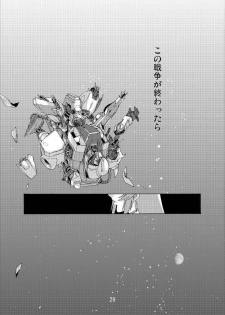 (C70) [Oregun (Shibari Kana)] MEER ALIVE (Kidou Senshi Gundam SEED DESTINY [Mobile Suit Gundam SEED DESTINY]) - page 28
