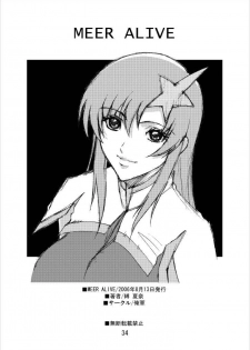 (C70) [Oregun (Shibari Kana)] MEER ALIVE (Kidou Senshi Gundam SEED DESTINY [Mobile Suit Gundam SEED DESTINY]) - page 32