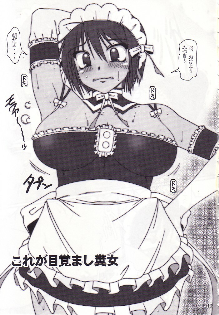 (C68) [Hakueki Shobou (A-Teru Haito)] Chou Fun Maid (Kore ga Watashi no Goshujin-sama) page 12 full