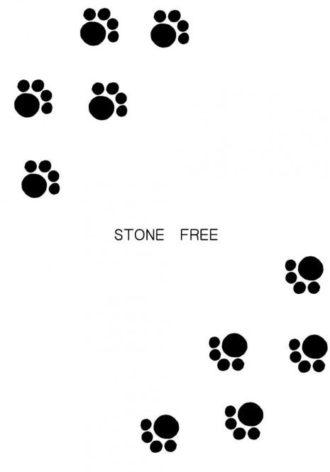 (CR33) [BLACK DOG (Kuroinu Juu)] STONE FREE (Jarinko Chie) [English]