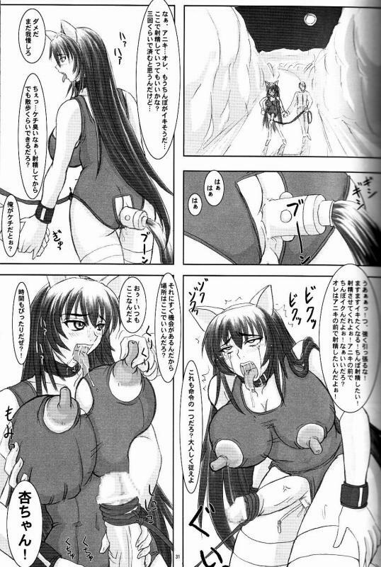 (C68) [Nozarashi (Nozarashi Satoru)] Tatakae! Kyouhime-sama!! page 31 full