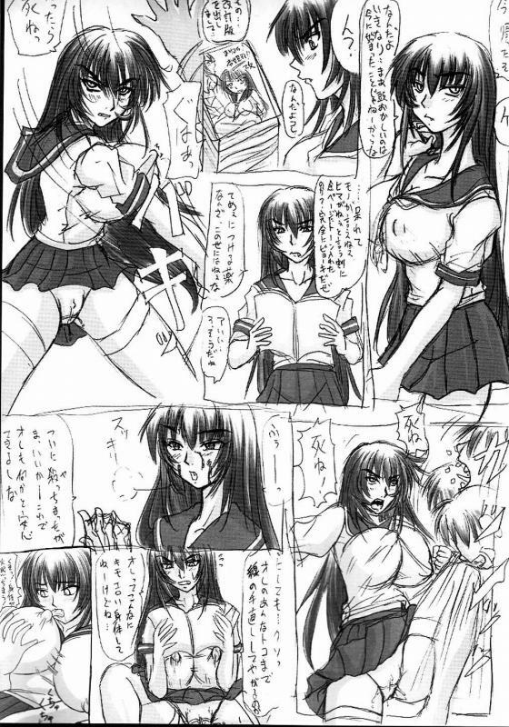 (C68) [Nozarashi (Nozarashi Satoru)] Tatakae! Kyouhime-sama!! page 47 full