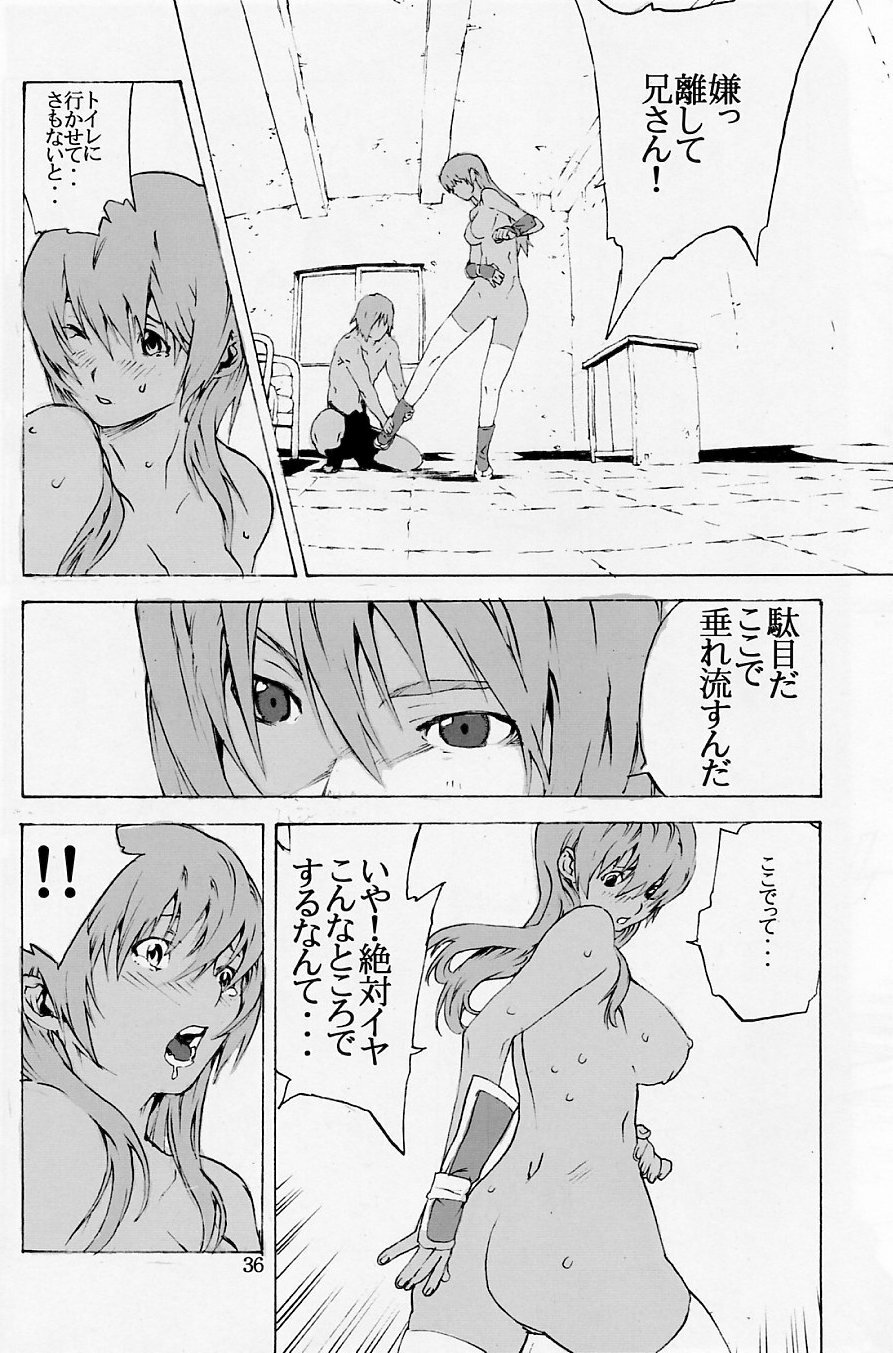 (C70) [SEVEN GODS! (Nanagami You)] DOAH 1 (Dead or Alive) page 35 full