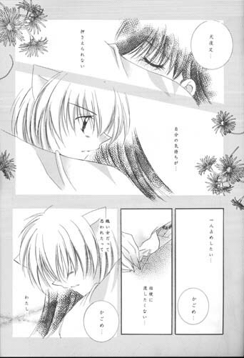 [Sakurakan (Seriou Sakura)] Michishio no Romance (Inuyasha) page 19 full