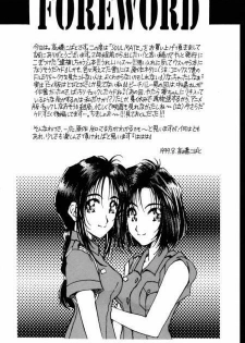 (C56) [Mechanical Code (Takahashi Kobato)] Soul Mate (You're Under Arrest!) - page 3