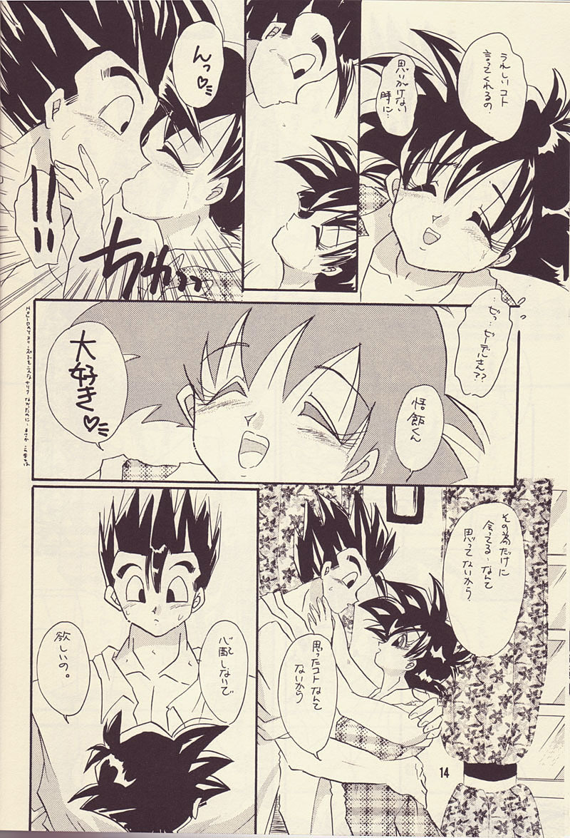 Motto Aishi Ai Masho (Dragon Ball Z) page 13 full