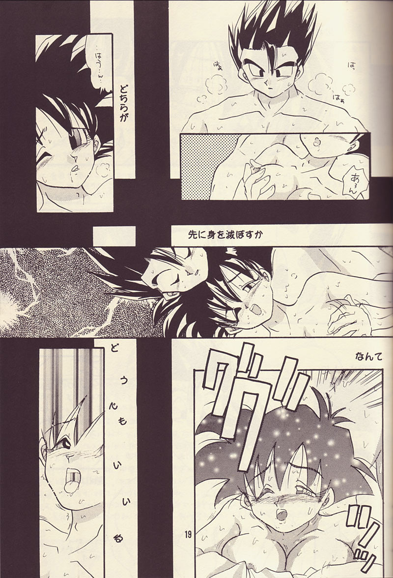 Motto Aishi Ai Masho (Dragon Ball Z) page 18 full