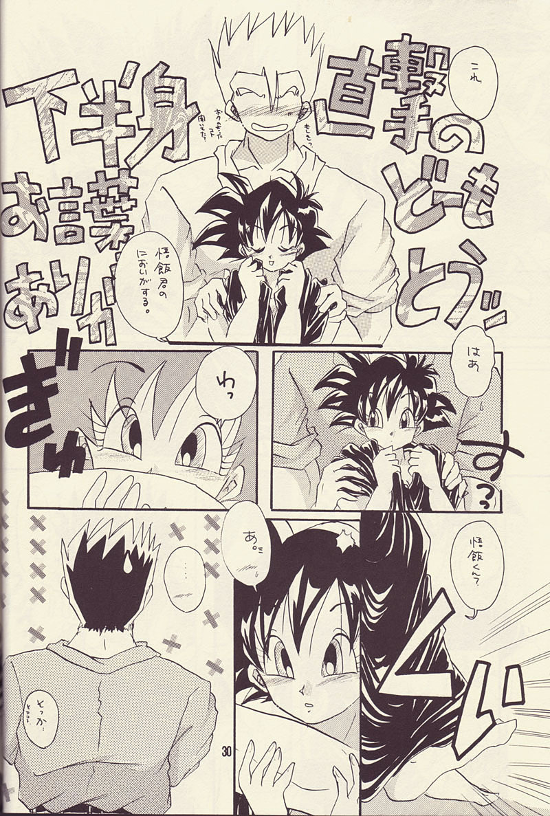 Motto Aishi Ai Masho (Dragon Ball Z) page 29 full