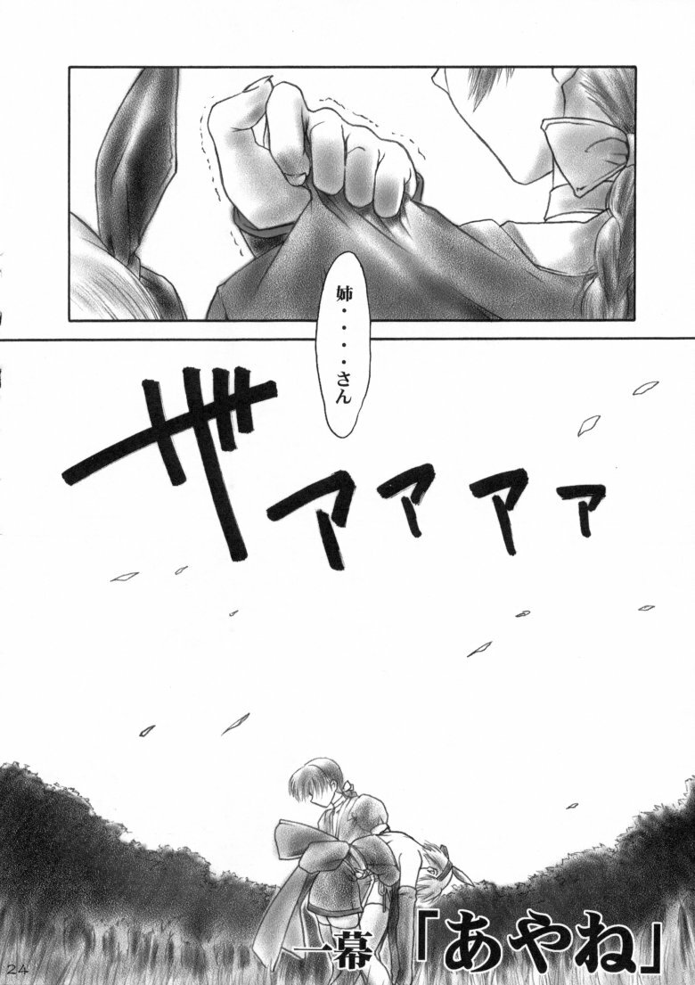 (C58) [Hellabunna (Iruma Kamiri)] INU/MURASAKI (Dead or Alive) page 24 full