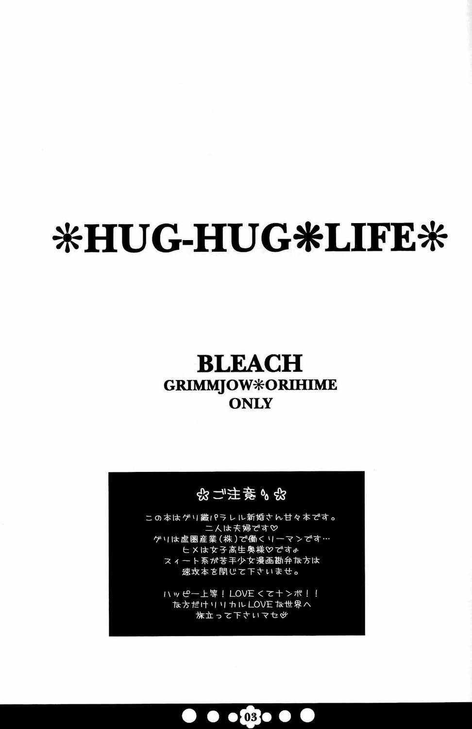 (C72) [Funny Devil (Okada Reimi)] Hug-Hug Life (Bleach) page 2 full