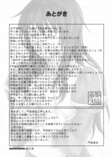 (C69) [Minshuku Inarimushi (Syuuen)] Chichiranbu Vol. 03 (Ragnarok Online) - page 32