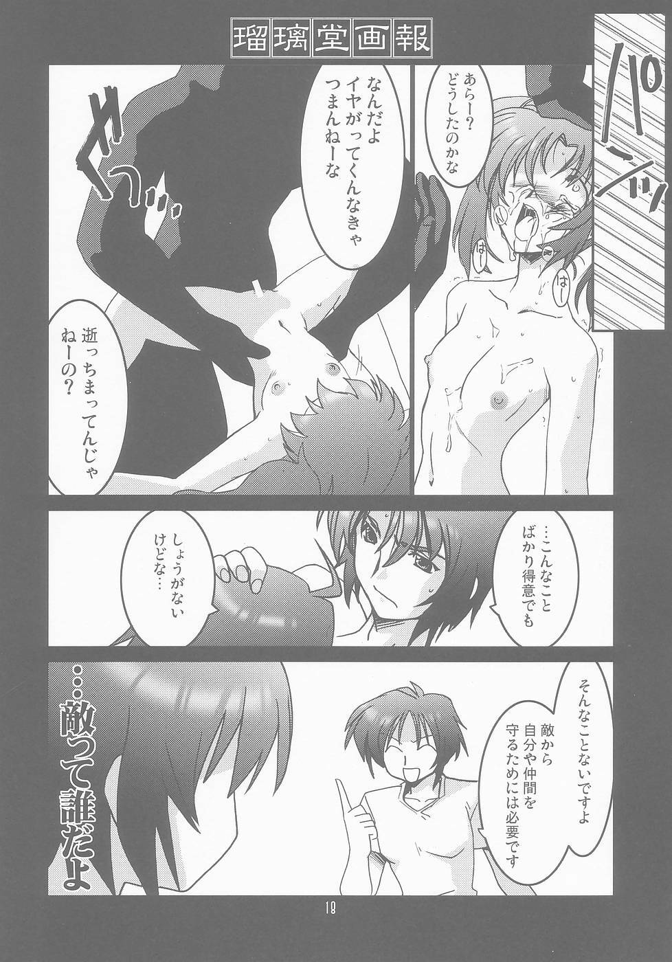 (C67) [U-A Daisakusen (Harada Shoutarou)] Ruridou Gahou CODE:25 (Gundam Seed Destiny) page 18 full