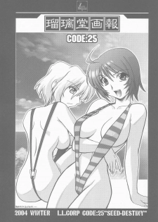 (C67) [U-A Daisakusen (Harada Shoutarou)] Ruridou Gahou CODE:25 (Gundam Seed Destiny) - page 3