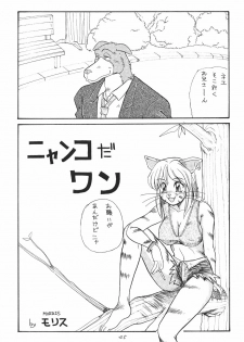 (C47) [TEAM SHUFFLE (Various)] Kemono no Sho - Book of The Beast - page 44