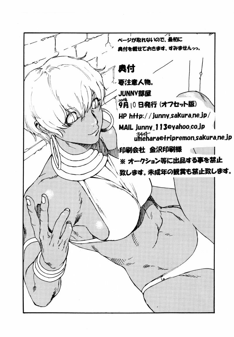 [JUNNY Heya] Youchuui Jinbutsu. (Street Fighter) page 17 full