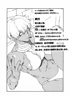 [JUNNY Heya] Youchuui Jinbutsu. (Street Fighter) - page 17