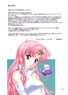 (C70)[Henrei-kai (Kawarajima Koh)] G-heroines (Kidou Senshi Gundam SEED DESTINY) - page 49
