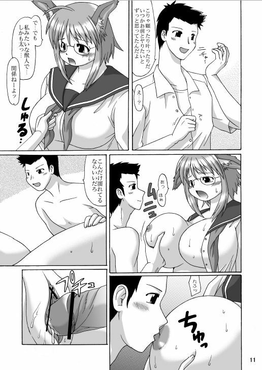 (C66) [Aa, Warera Katou Hayabusa Sentoutai (Katou)] MaruInu page 10 full