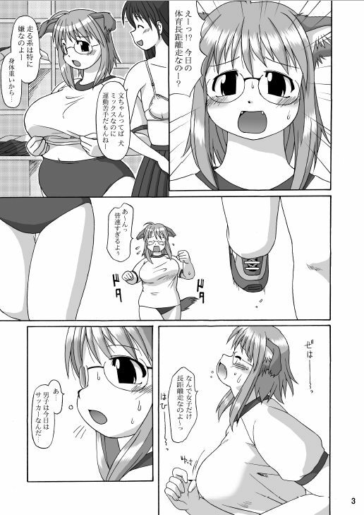 (C66) [Aa, Warera Katou Hayabusa Sentoutai (Katou)] MaruInu page 2 full