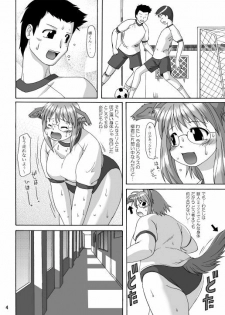 (C66) [Aa, Warera Katou Hayabusa Sentoutai (Katou)] MaruInu - page 3