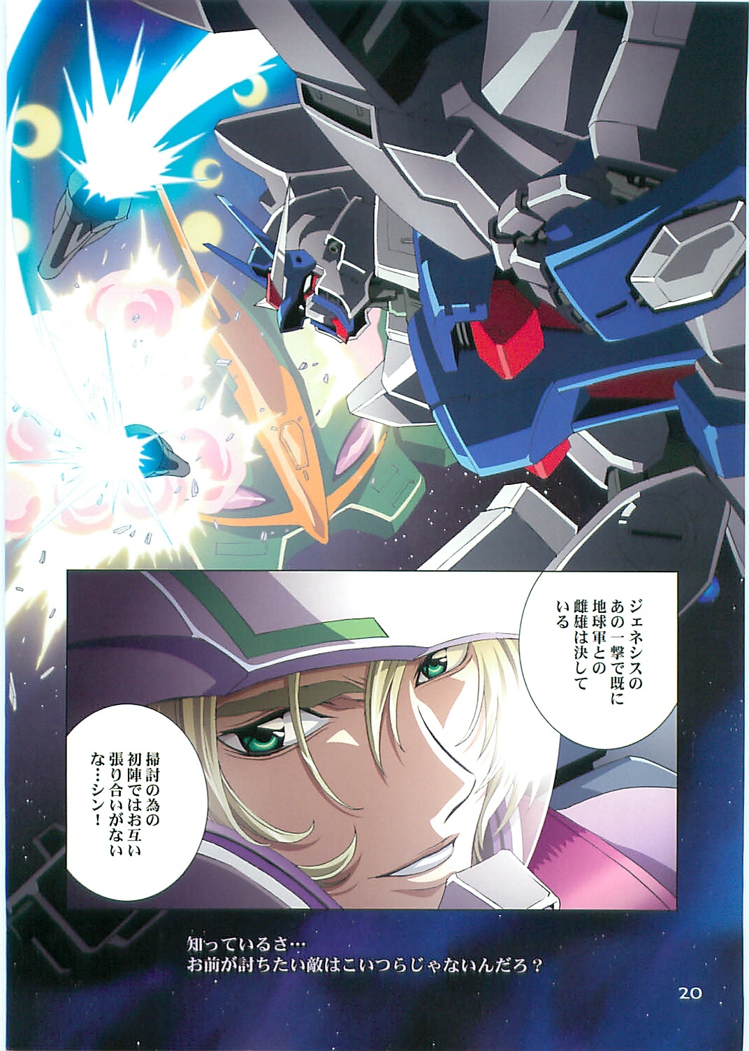 (C70)[Hen Rei Kai (Kawarajima Kou)] SEED ANOTHER CENTURY D.E. 2 (Gundam SEED Destiny) page 19 full