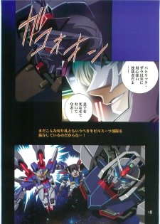 (C70)[Hen Rei Kai (Kawarajima Kou)] SEED ANOTHER CENTURY D.E. 2 (Gundam SEED Destiny) - page 17