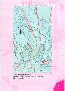 (C70)[Hen Rei Kai (Kawarajima Kou)] SEED ANOTHER CENTURY D.E. 2 (Gundam SEED Destiny) - page 39