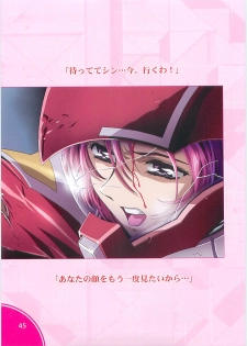 (C70)[Hen Rei Kai (Kawarajima Kou)] SEED ANOTHER CENTURY D.E. 2 (Gundam SEED Destiny) - page 44